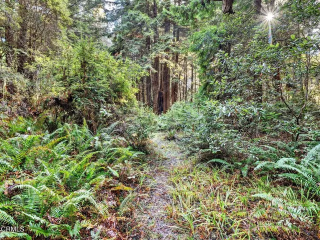 $1,625,000 | 19400 Dorffi Road, Fort Bragg, CA 95437