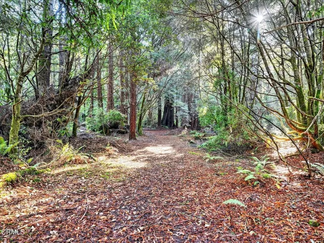 $1,625,000 | 19400 Dorffi Road, Fort Bragg, CA 95437