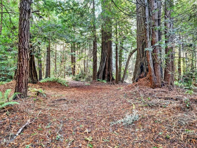 $1,625,000 | 19400 Dorffi Road, Fort Bragg, CA 95437