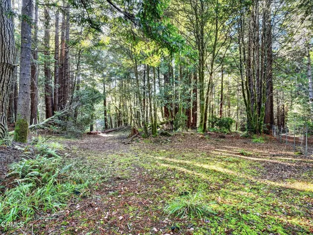 $1,625,000 | 19400 Dorffi Road, Fort Bragg, CA 95437
