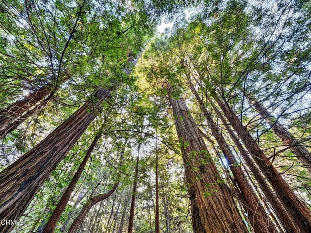 $1,625,000 | 19400 Dorffi Road, Fort Bragg, CA 95437