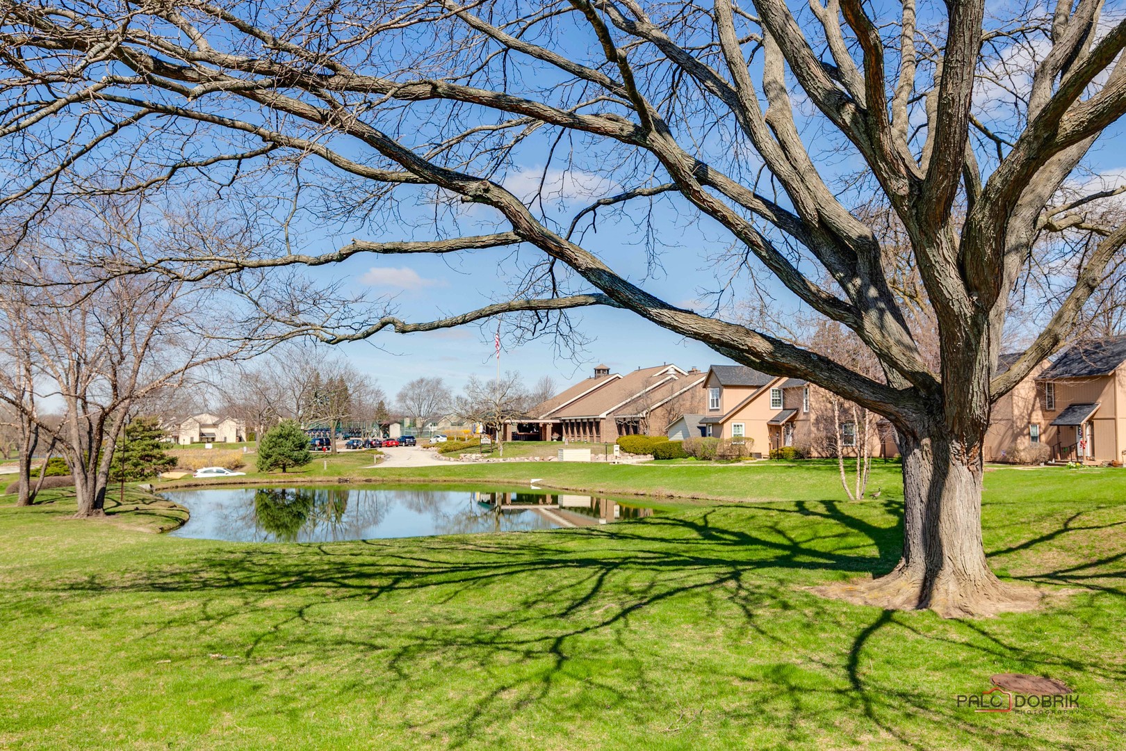 5844 Heather Ridge Drive, Unit 105 Gurnee, IL 60031 - Photo 19 of 25 a view of swimming pool with a yard and plants
