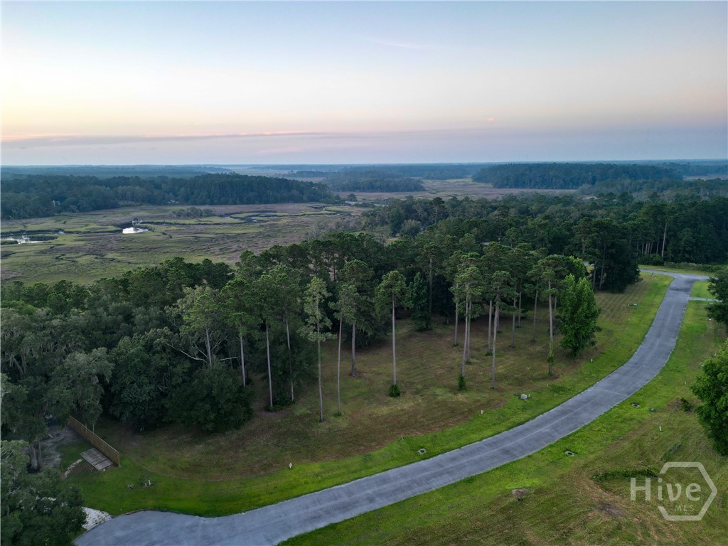 0 Northeast Baker Island Way, Unit LOT 11 Townsend, GA 31331 - Photo 27 of 29 Gallery Image 27