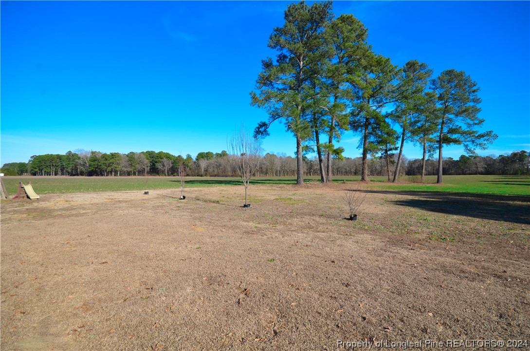 1396 Green Path Road Dunn, NC 28334 - Photo 44 of 50 a view of outdoor space with green field and trees