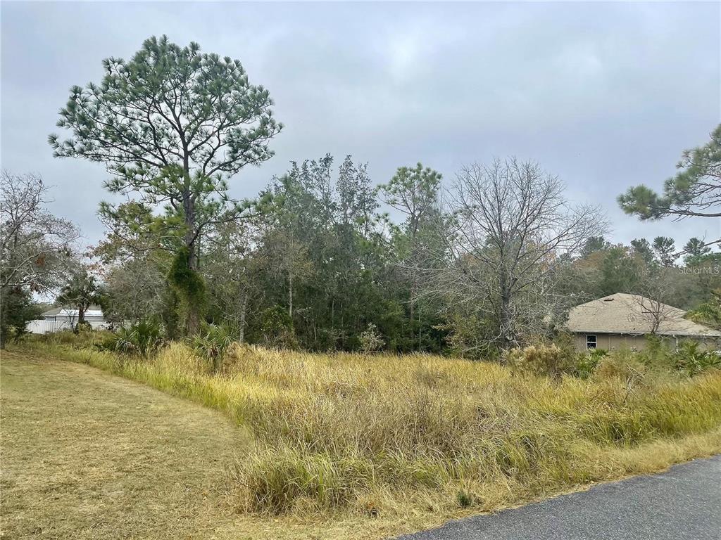 16 Golden Warbler Road Weeki Wachee, FL 34613 - Photo 3 of 4 Gallery Image 3