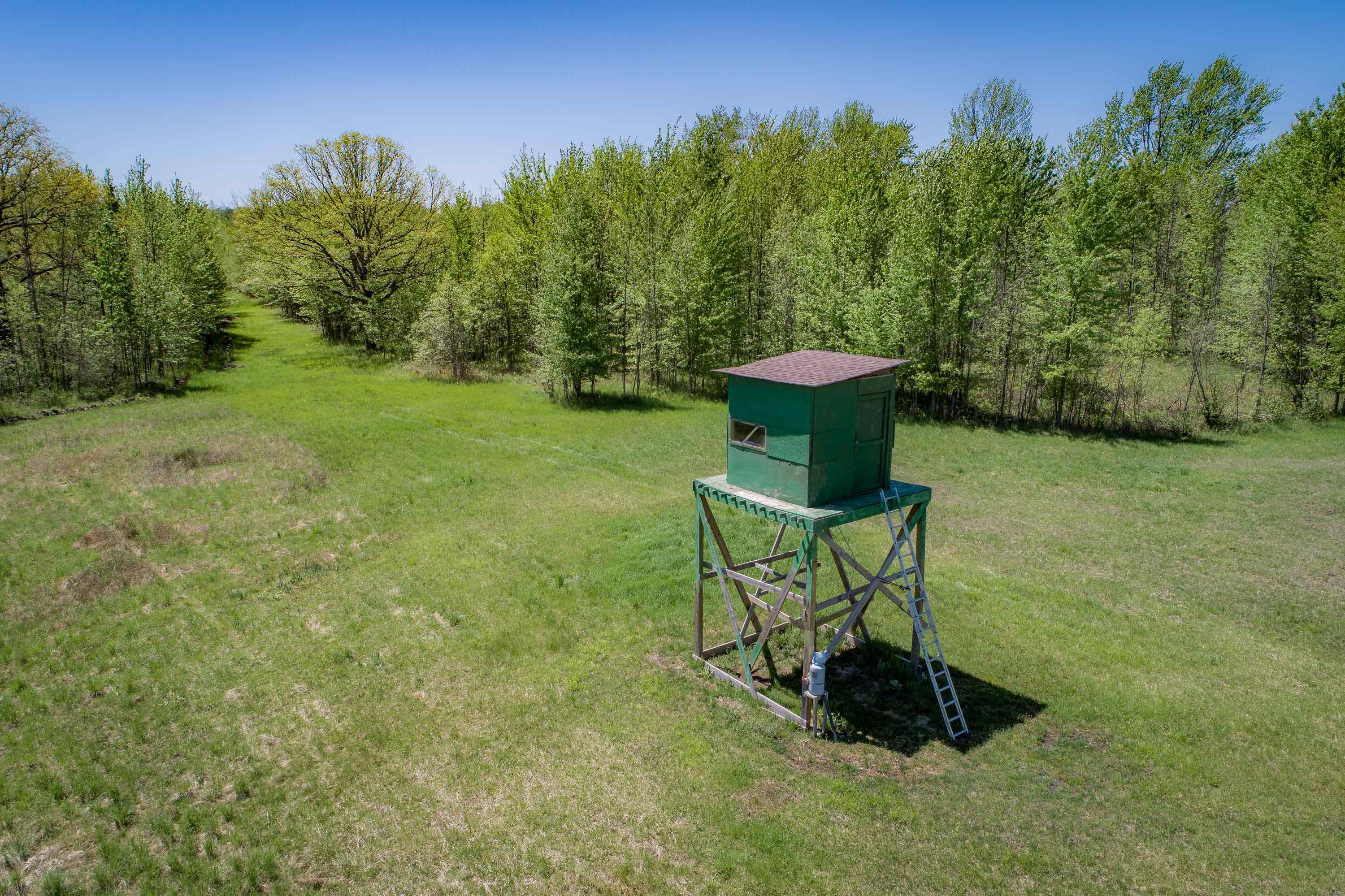 2250 North Coleman Road Coleman, MI 48618 - Photo 51 of 66