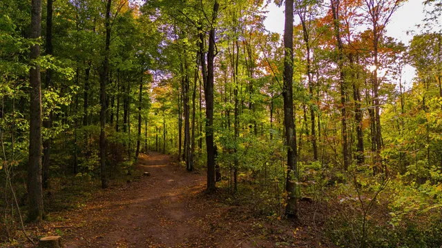 $59,000 | Tower Road, Unit 8, Crandon, WI 54520