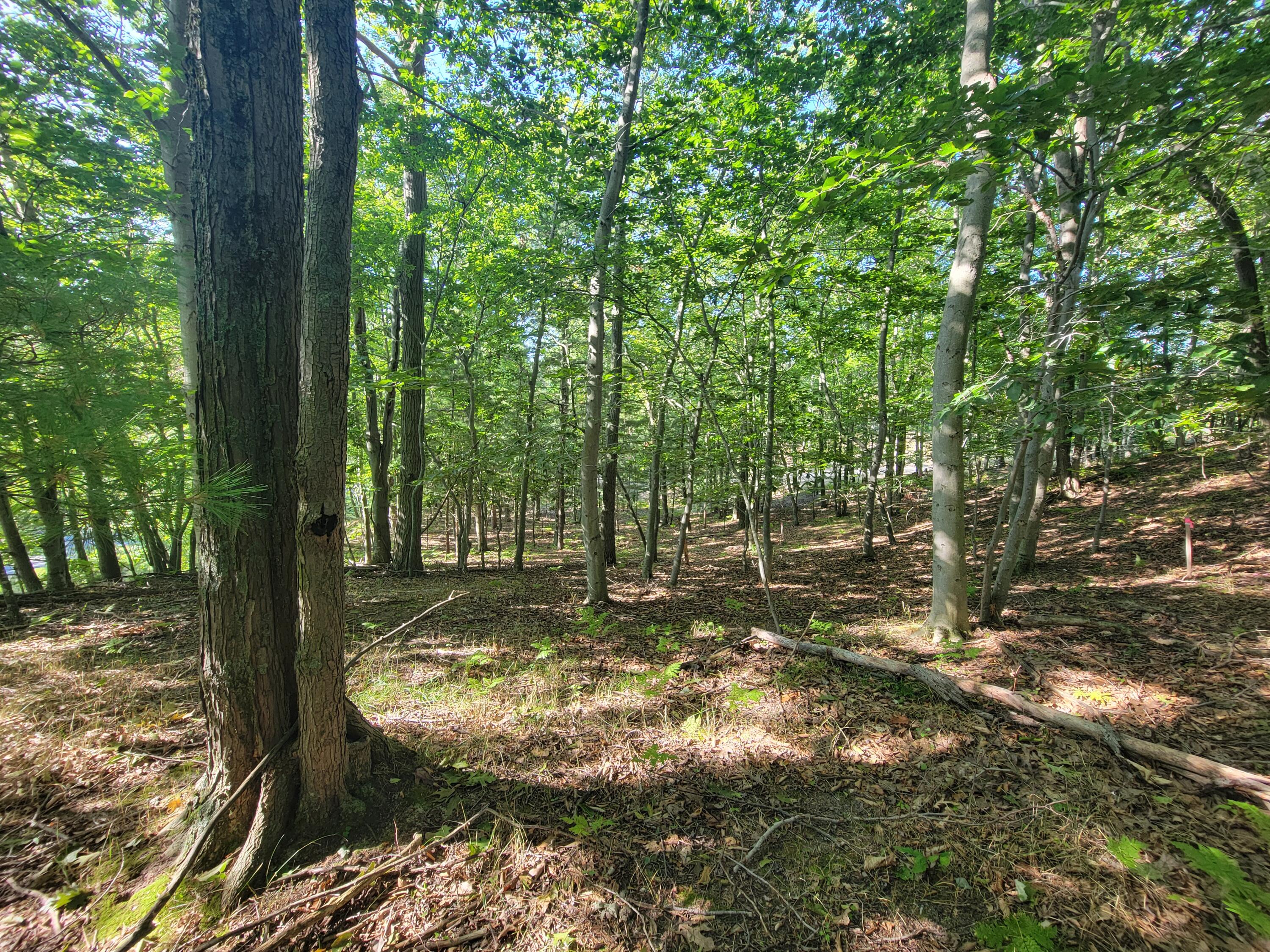 Lot 8 Lakeshore Road Manistee, MI 49660 - Photo 17 of 20 20250912_102057