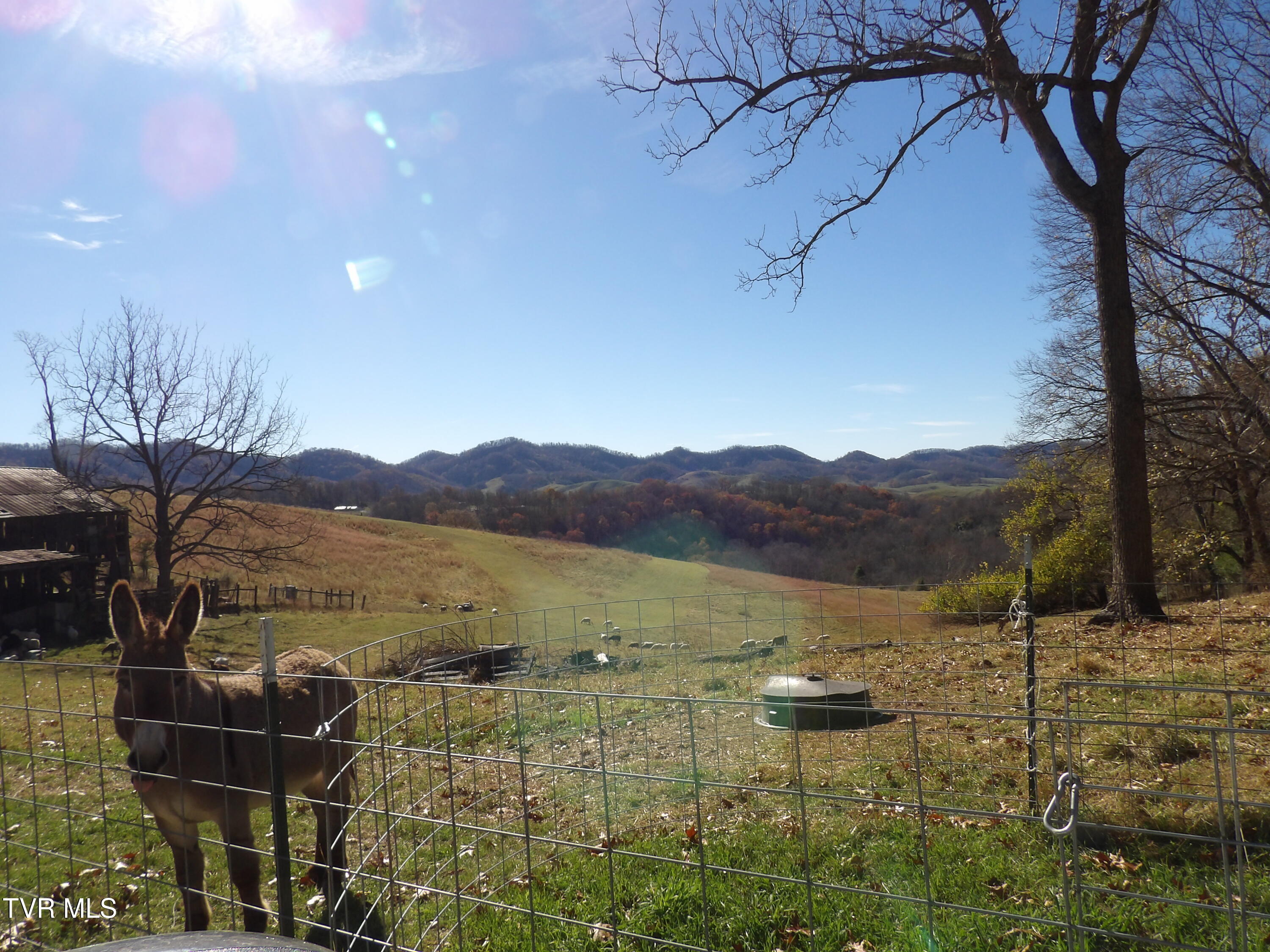 107 Edgewood/crusenberry Road Saltville, VA 24370 - Photo 8 of 14 100_0011