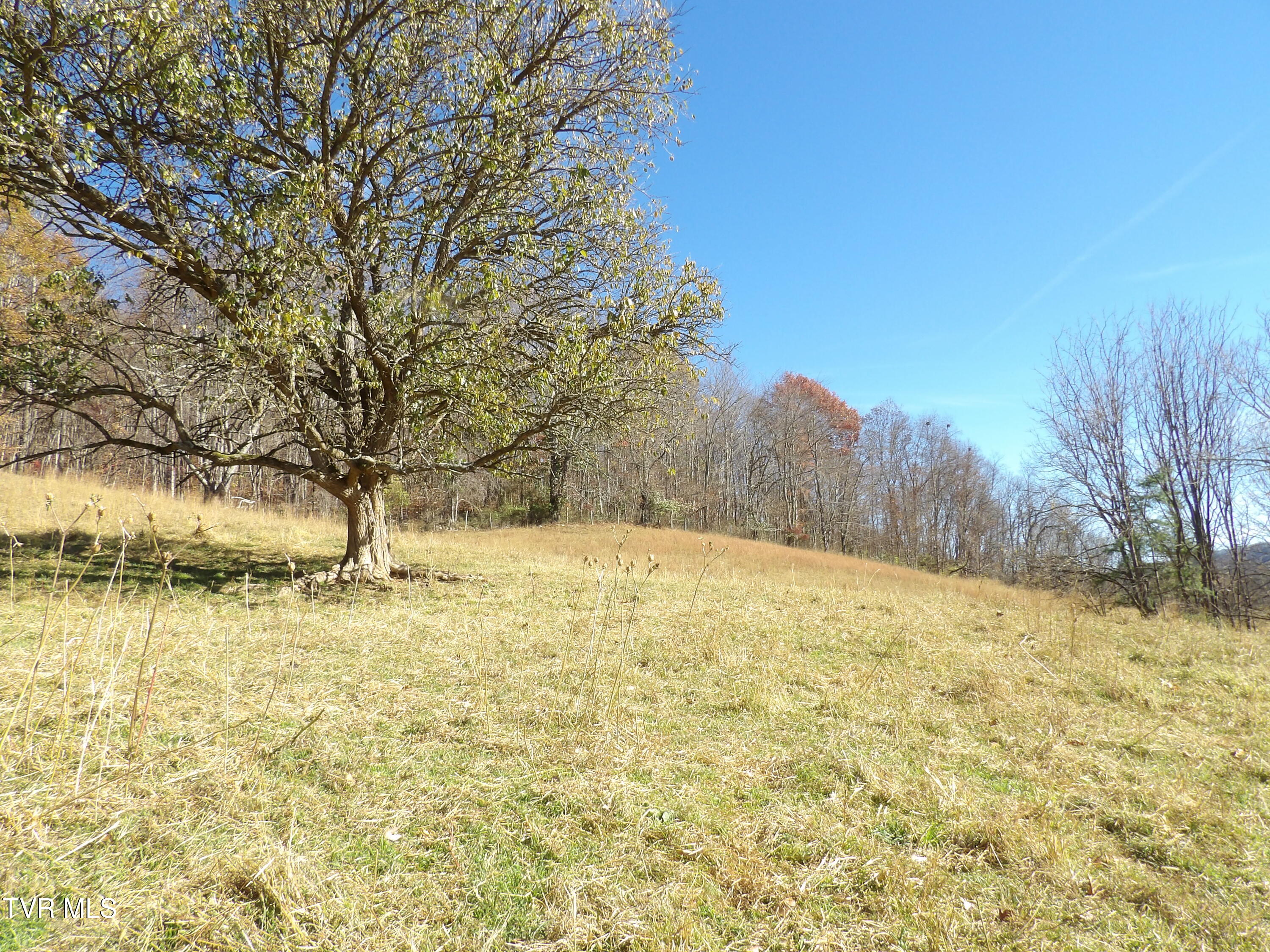 107 Edgewood/crusenberry Road Saltville, VA 24370 - Photo 9 of 14 100_0034