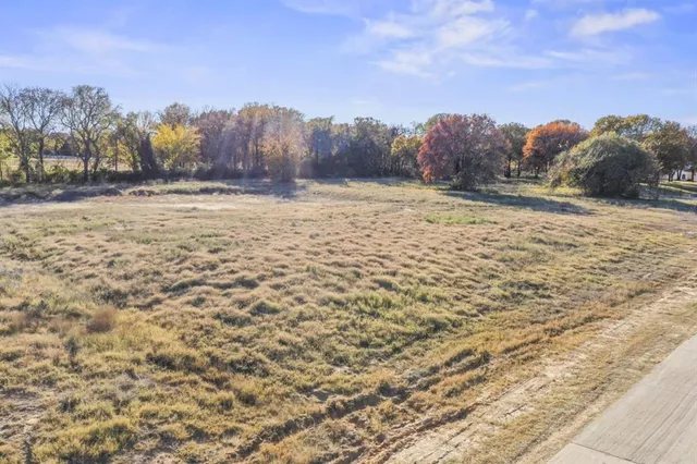 a view of large tree with an outdoor space