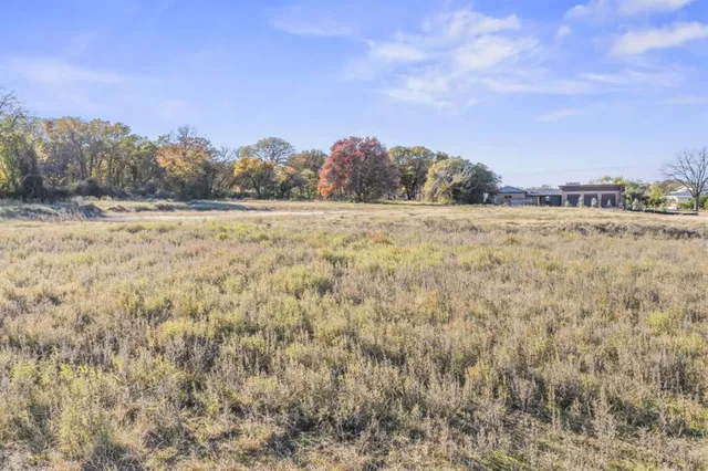 a view of a field and trees in the background