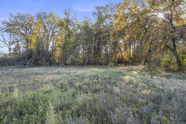 a view of outdoor space and trees