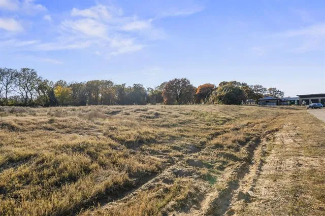 a view of a field with trees in the background