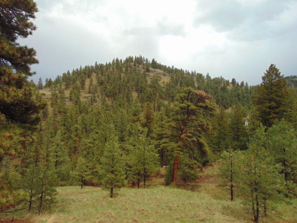 Tbd Shady Spring Lane Cascade, MT 59421 - Photo 12 of 78 Gallery Image 12