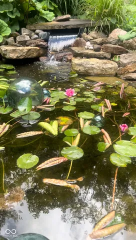 $1,495,000 | 11416 Forest Knoll Circle, Fishers, IN 46037