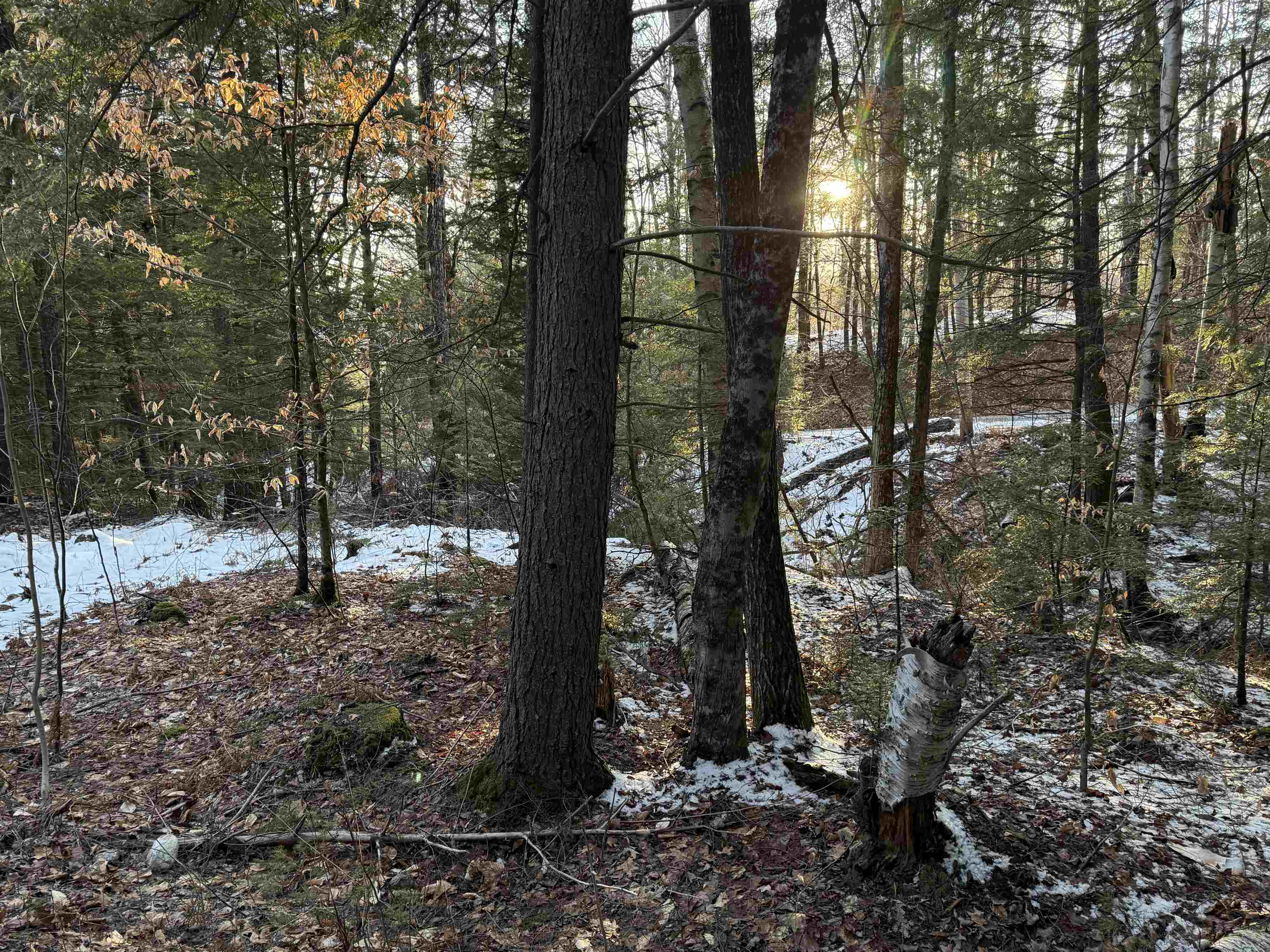 12-182 Kemp Road Croydon, NH 03773 - Photo 3 of 13