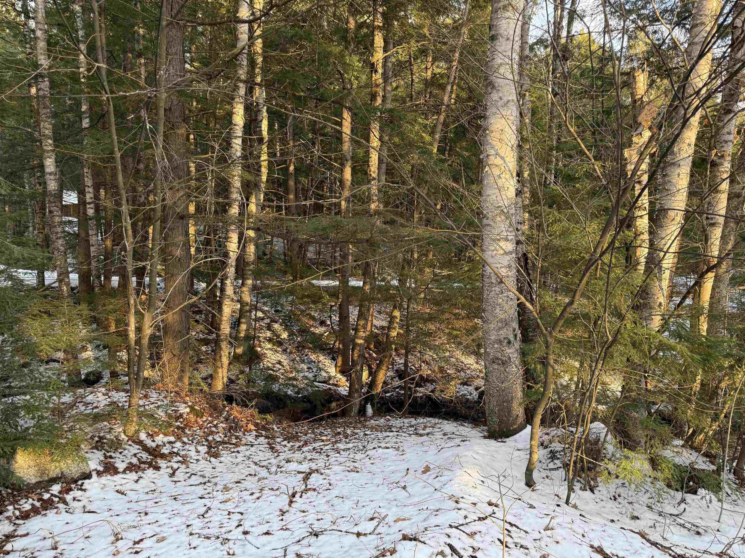 12-182 Kemp Road Croydon, NH 03773 - Photo 6 of 13