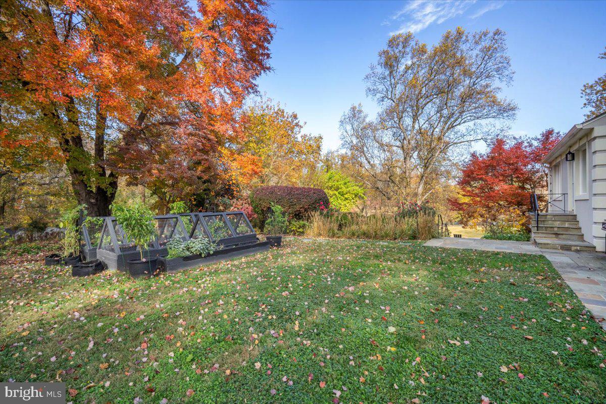 10801 Spring Knoll Drive Potomac, MD 20854 - Photo 76 of 100 a view of a yard with a house in the background