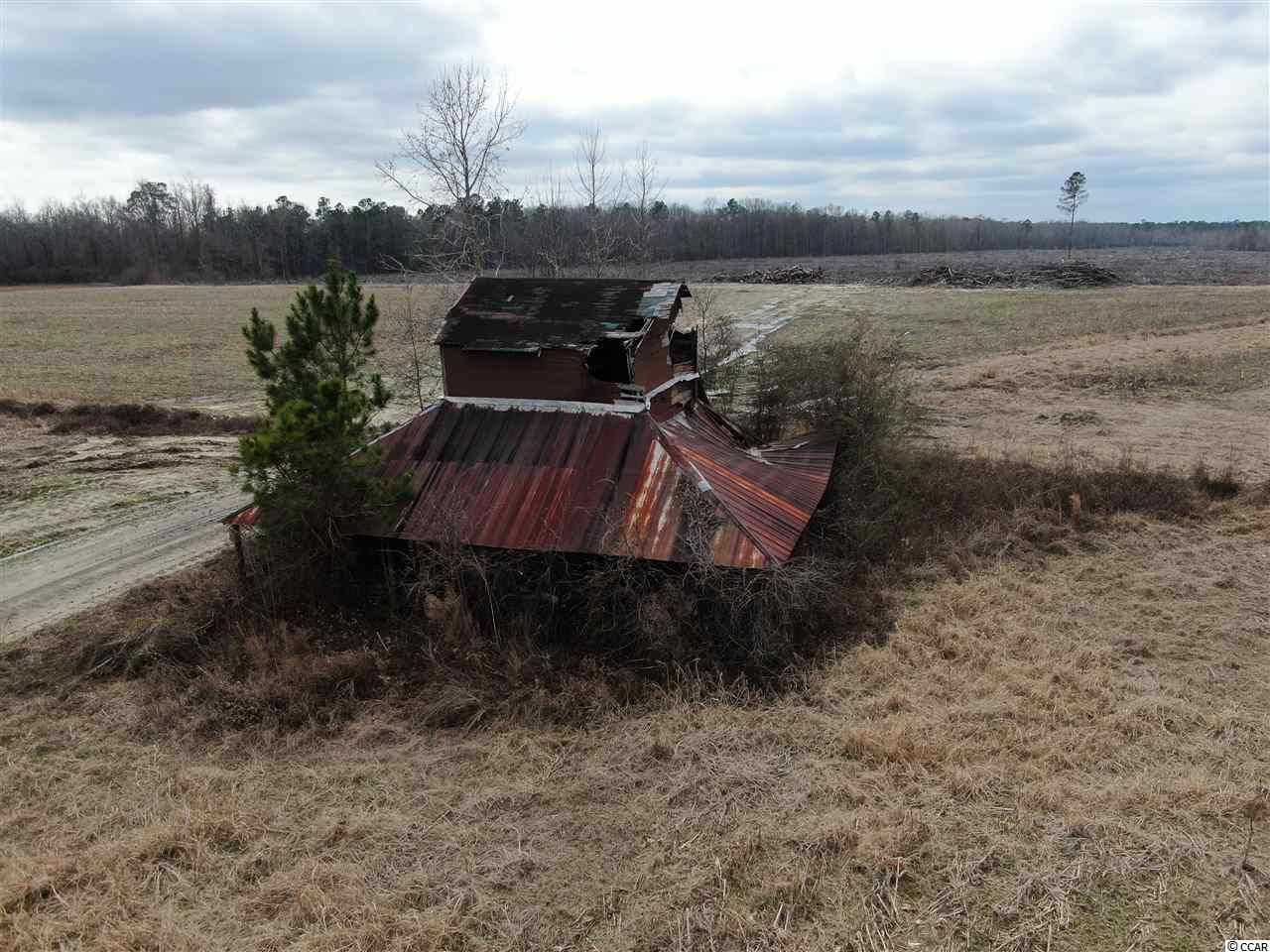 3617 Old Reaves Ferry Road Conway, SC 29526 - Photo 10 of 11 Gallery Image 10