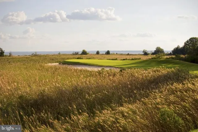 a view of an ocean and beach