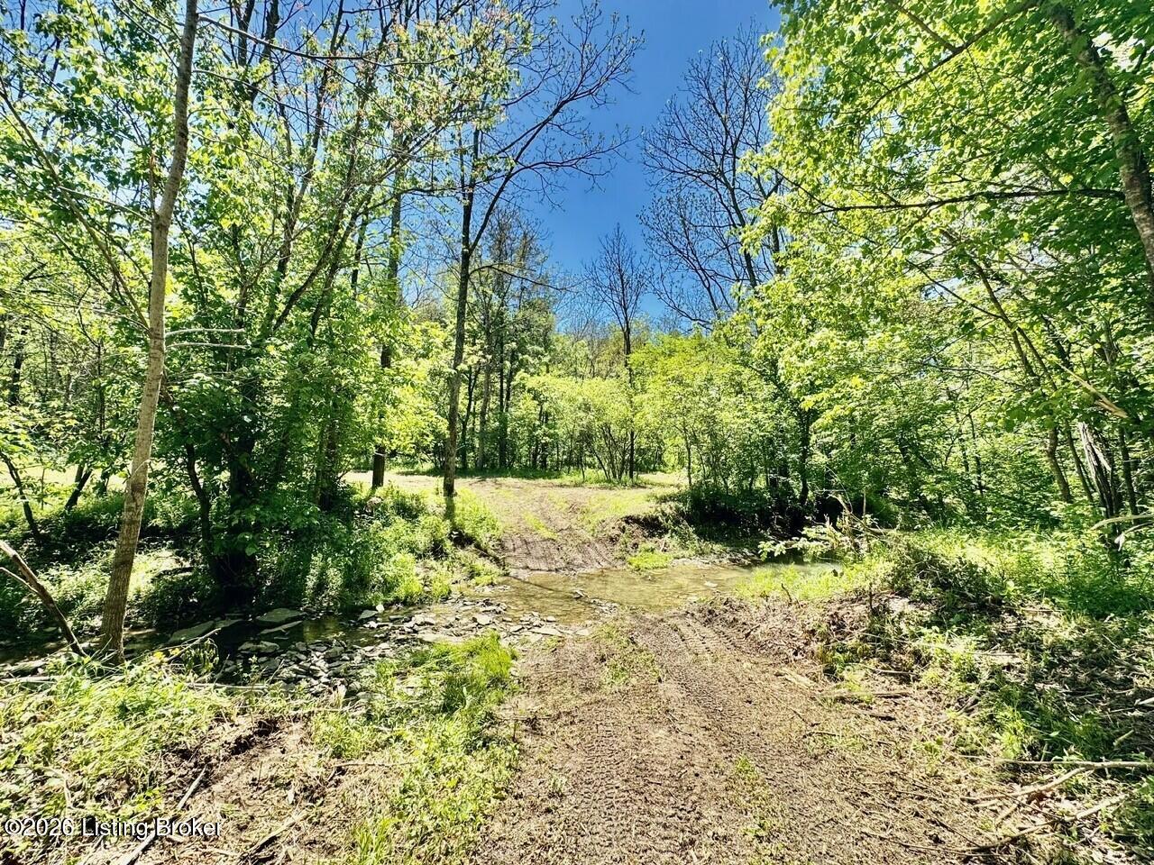 0 Three Three Licks Road Mackville, KY 40040 - Photo 33 of 36 005_Roadway