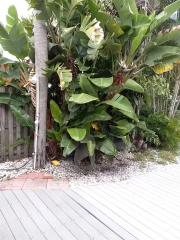 a view of an ocean with city