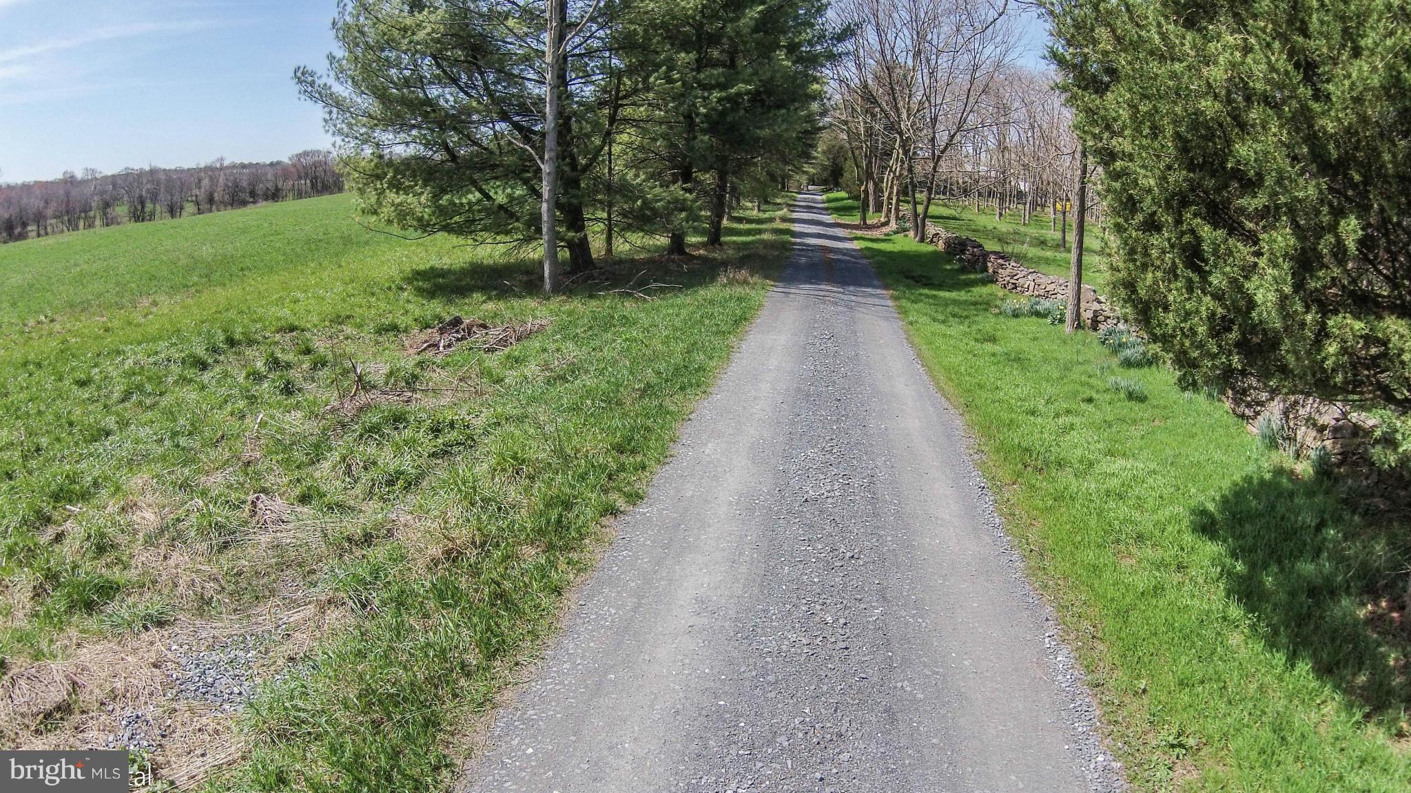 17300 White Ground Road Boyds, MD 20841 - Photo 15 of 18 a view of park with large trees