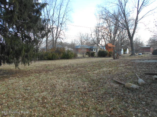 3813 Mamaroneck Road Louisville, KY 40218 - Photo 13 of 14 Back Yard