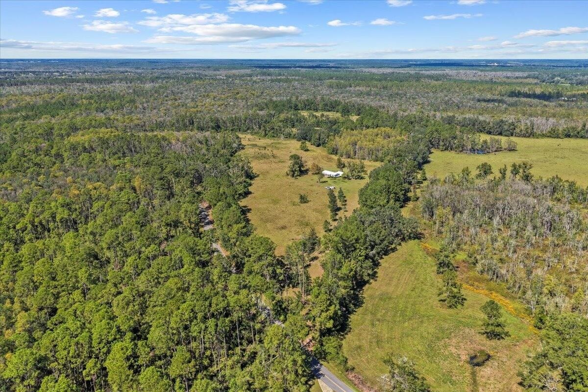 4087 Honey Lake Road Greenville, FL 32331 - Photo 26 of 31
