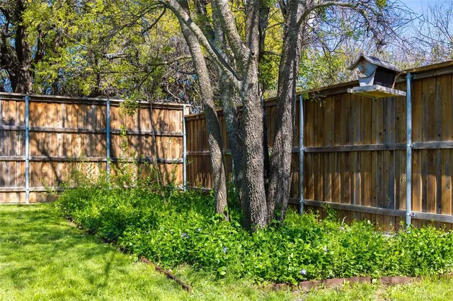 a view of a backyard with potted plants and large tree