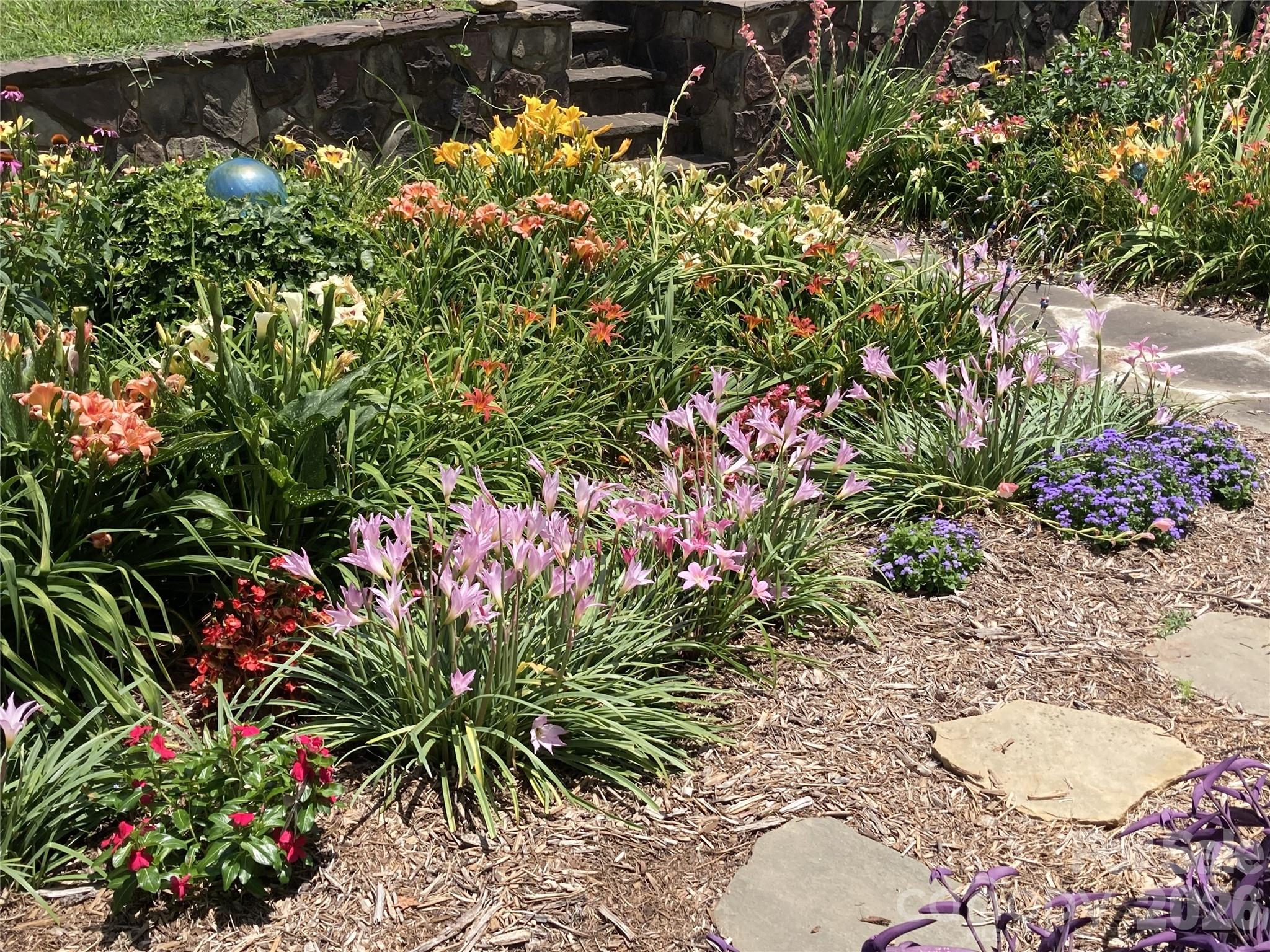 729 Sternbridge Drive Concord, NC 28025 - Photo 7 of 42 a picture of flowers