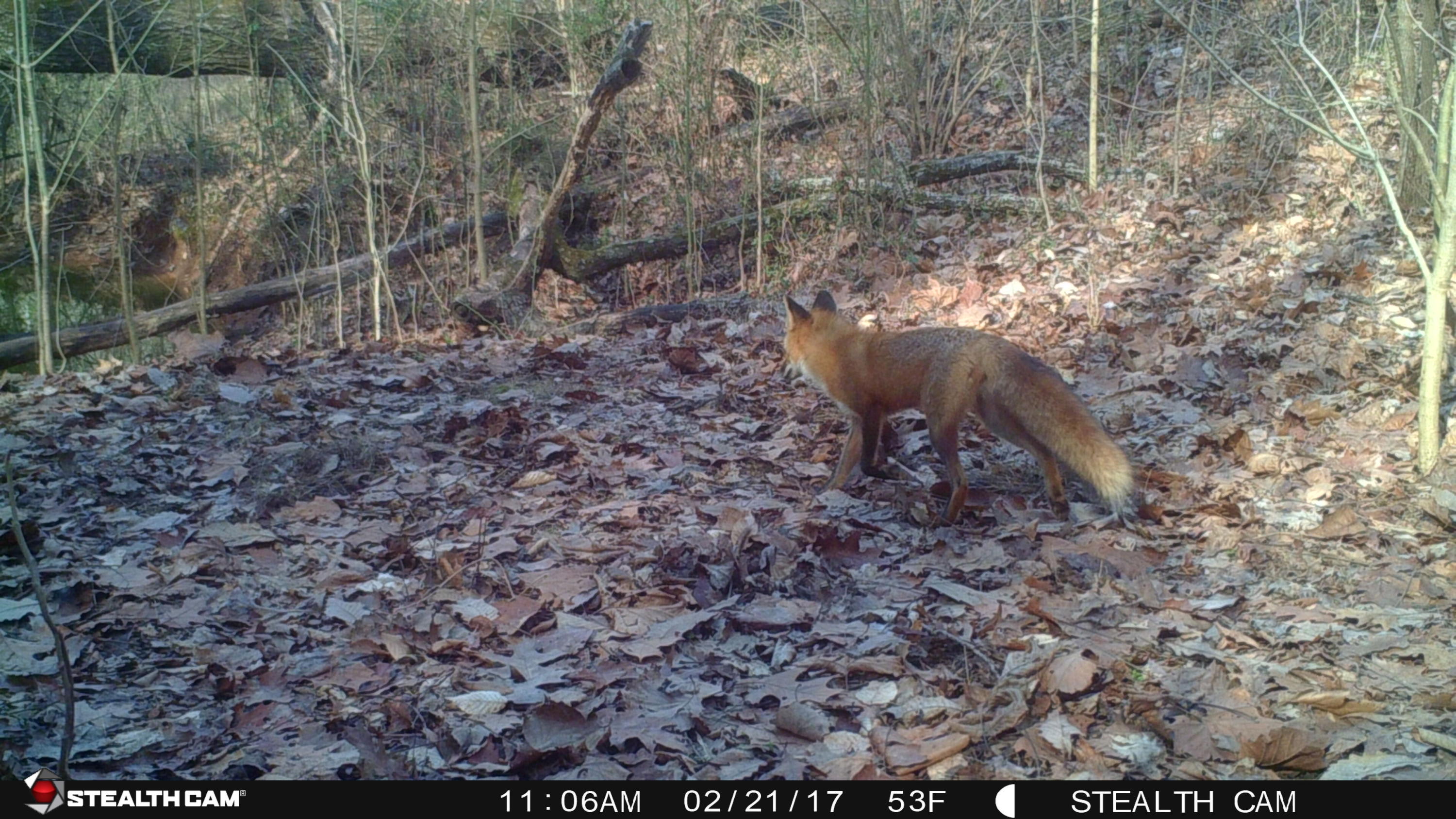 1712 Goff Road Knoxville, TN 37920 - Photo 25 of 27 DCDA876F-D2B5-4CCB-83A6-603CCA8286A6