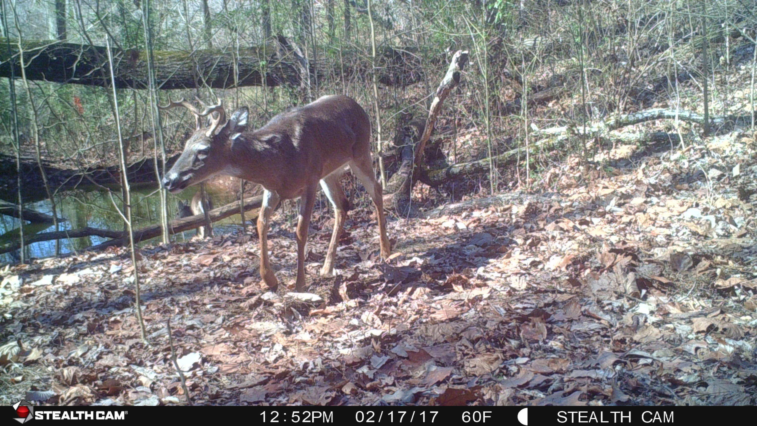 1712 Goff Road Knoxville, TN 37920 - Photo 26 of 27 F20D9182-234B-48EC-98D3-159E0B98FDFC