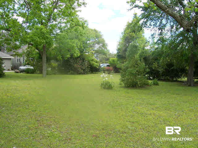 34205 West Barclay Avenue Lillian, AL 36549 - Photo 40 of 46 Back yard