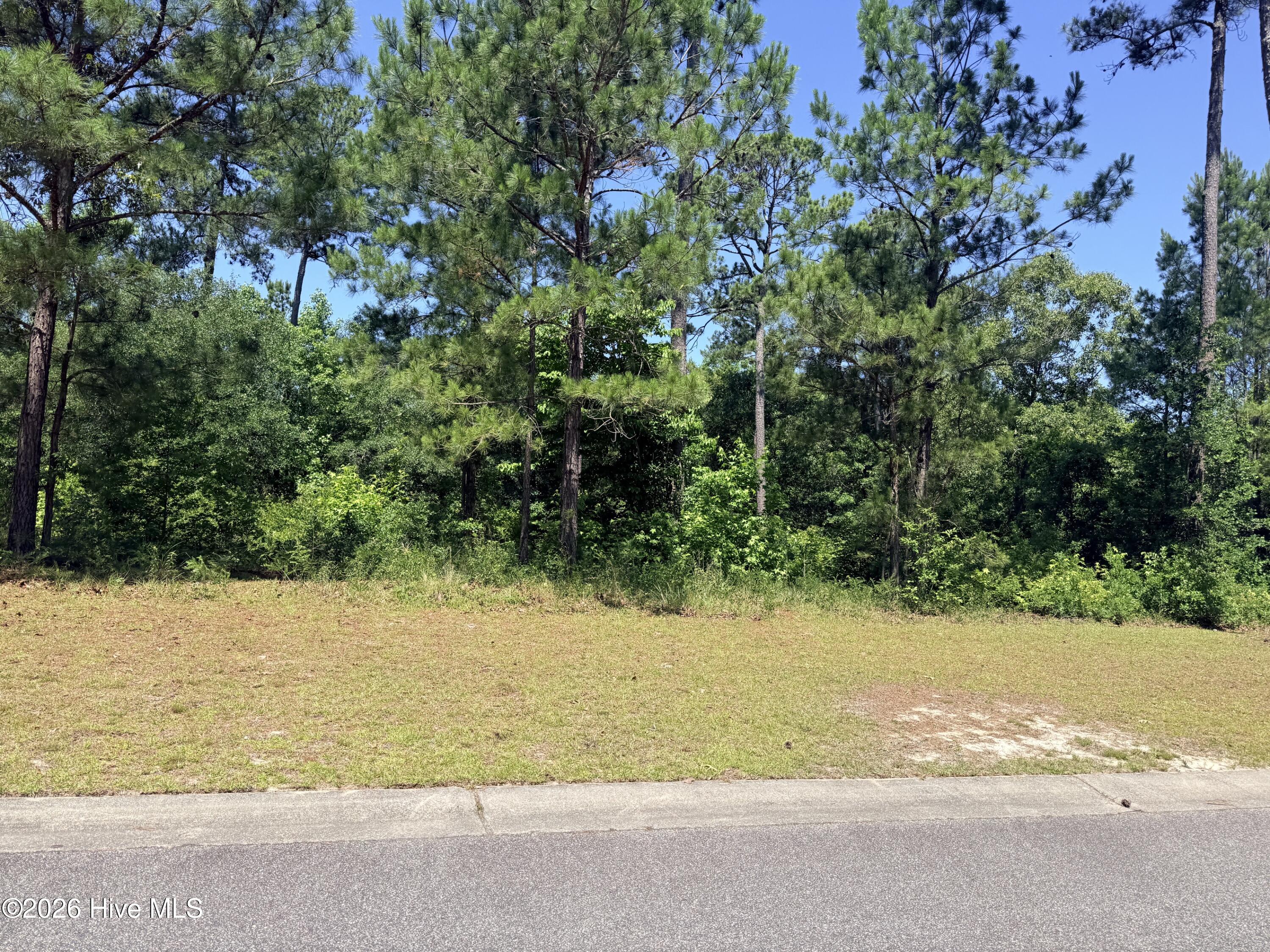 3808 Silver Melon Road Northeast Leland, NC 28451 - Photo 2 of 37
