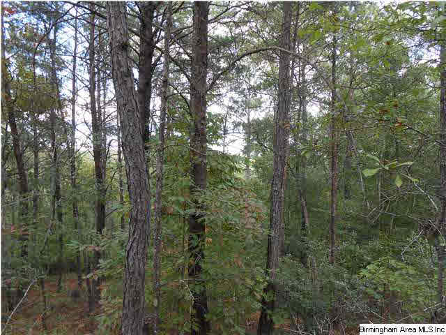 Meherg Road, Unit 28 Rockford, AL 35136 - Photo 17 of 25