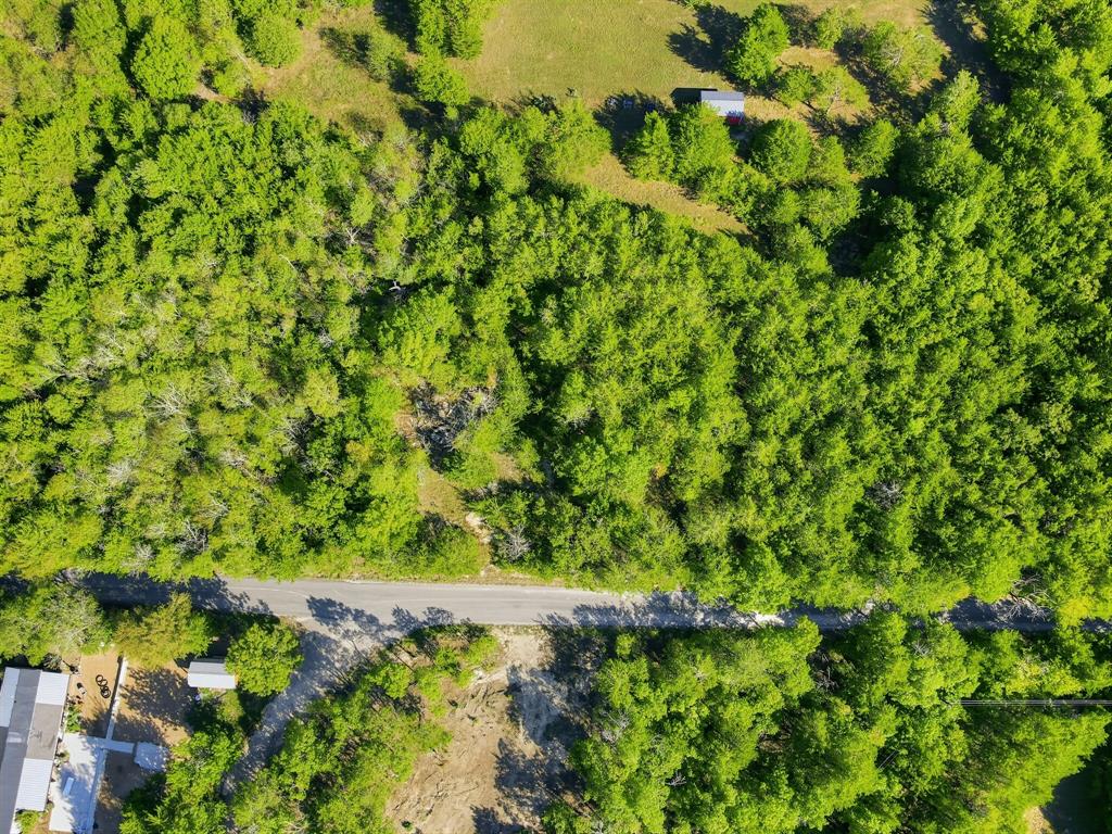 Tbd Durham Road Whitewright, TX 75491 - Photo 3 of 14 Gallery Image 3