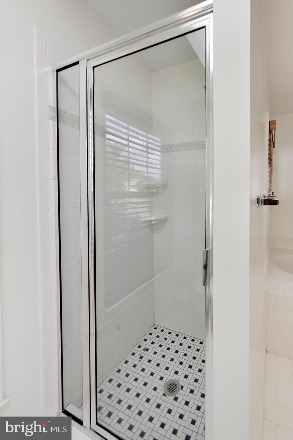 2421 Pondside Terrace Silver Spring, MD 20906 - Photo 21 of 44 Separate shower