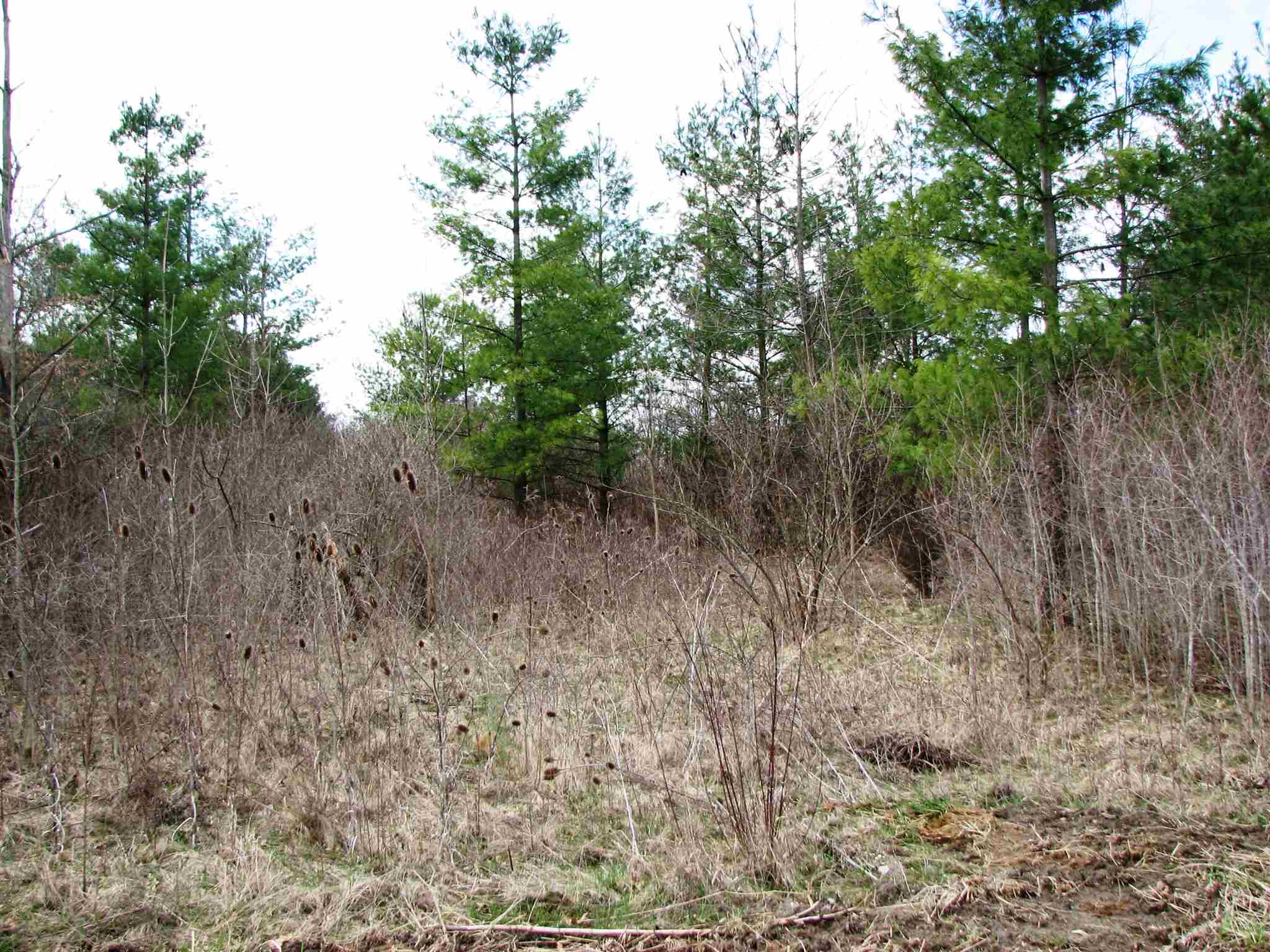 4933 West Wallen Road Fort Wayne, IN 46818 - Photo 16 of 27