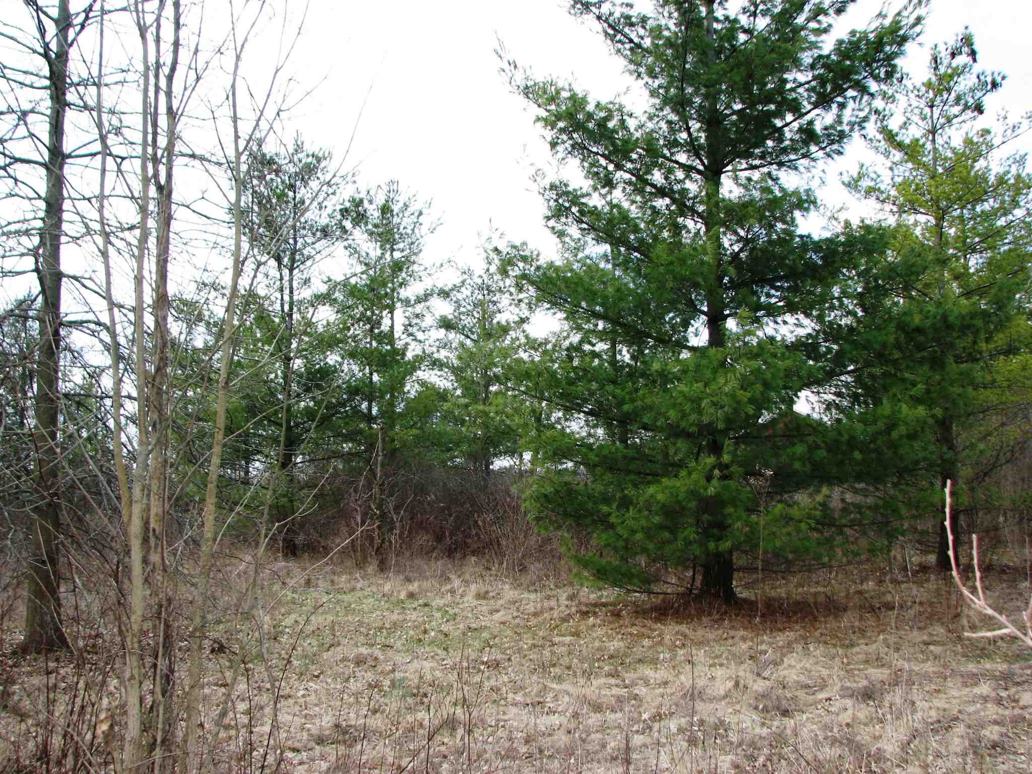 4933 West Wallen Road Fort Wayne, IN 46818 - Photo 19 of 27