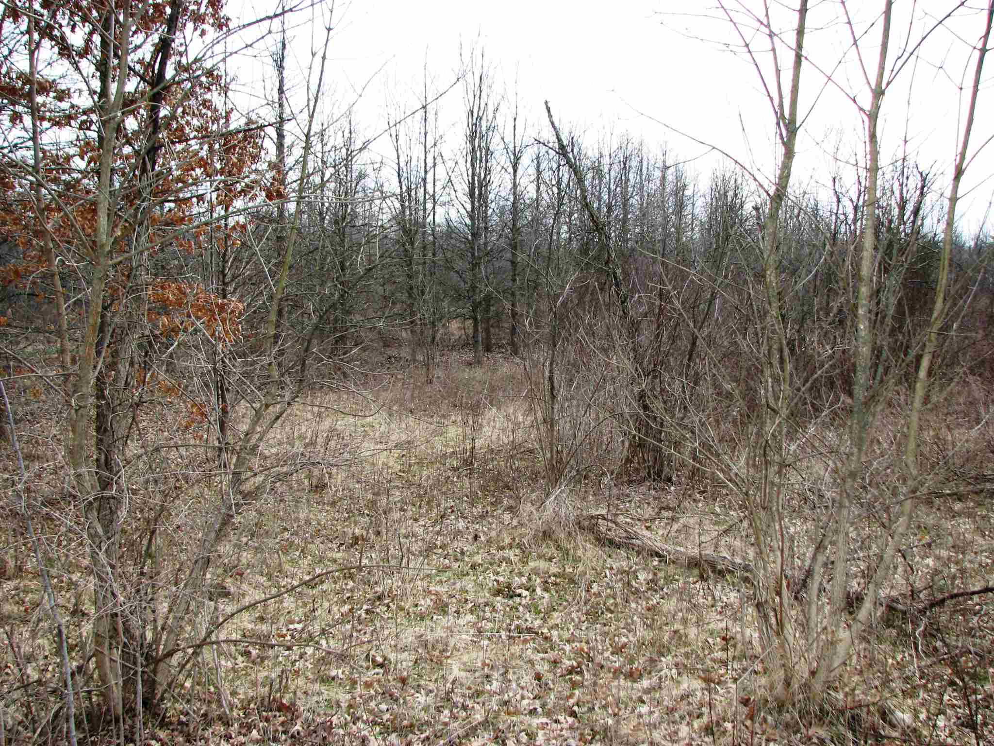 4933 West Wallen Road Fort Wayne, IN 46818 - Photo 20 of 27