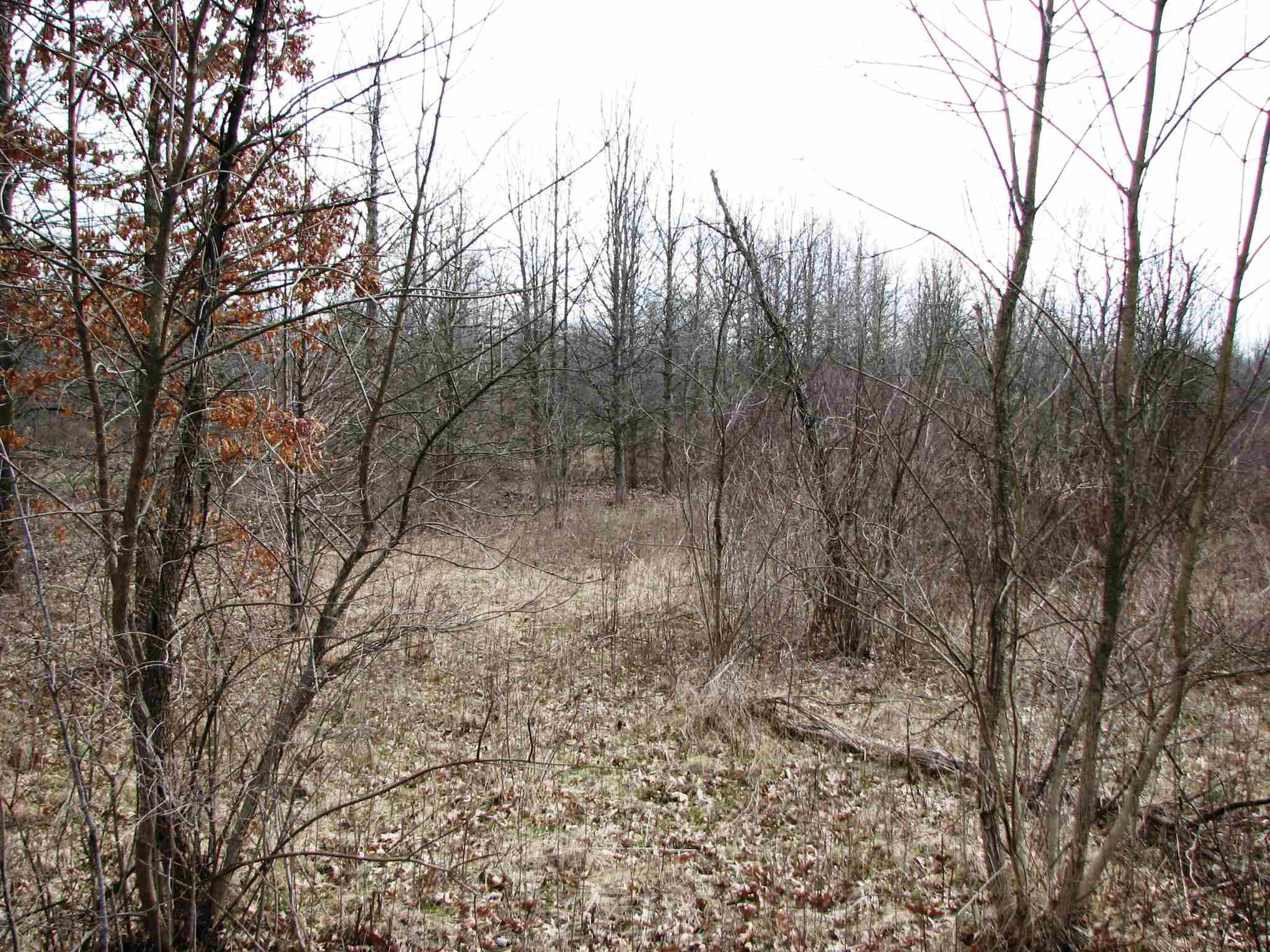 4933 West Wallen Road Fort Wayne, IN 46818 - Photo 21 of 27