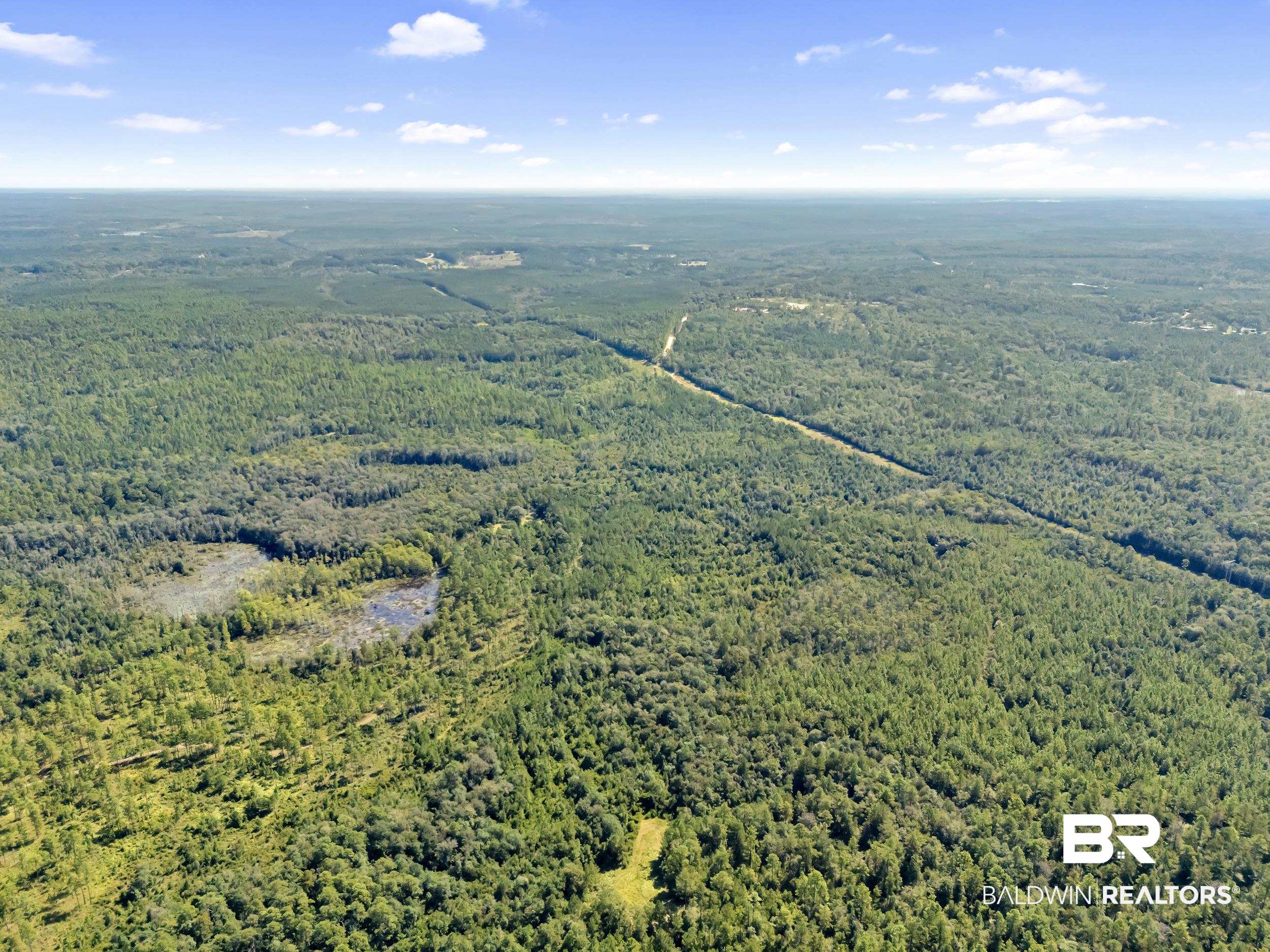 0 Arden Road Chunchula, AL 36521 - Photo 7 of 18 Aerial view of a heavily wooded area