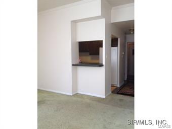 417 Prospect Street, Unit M Alton, IL 62002 - Photo 10 of 11 Gallery Image 10