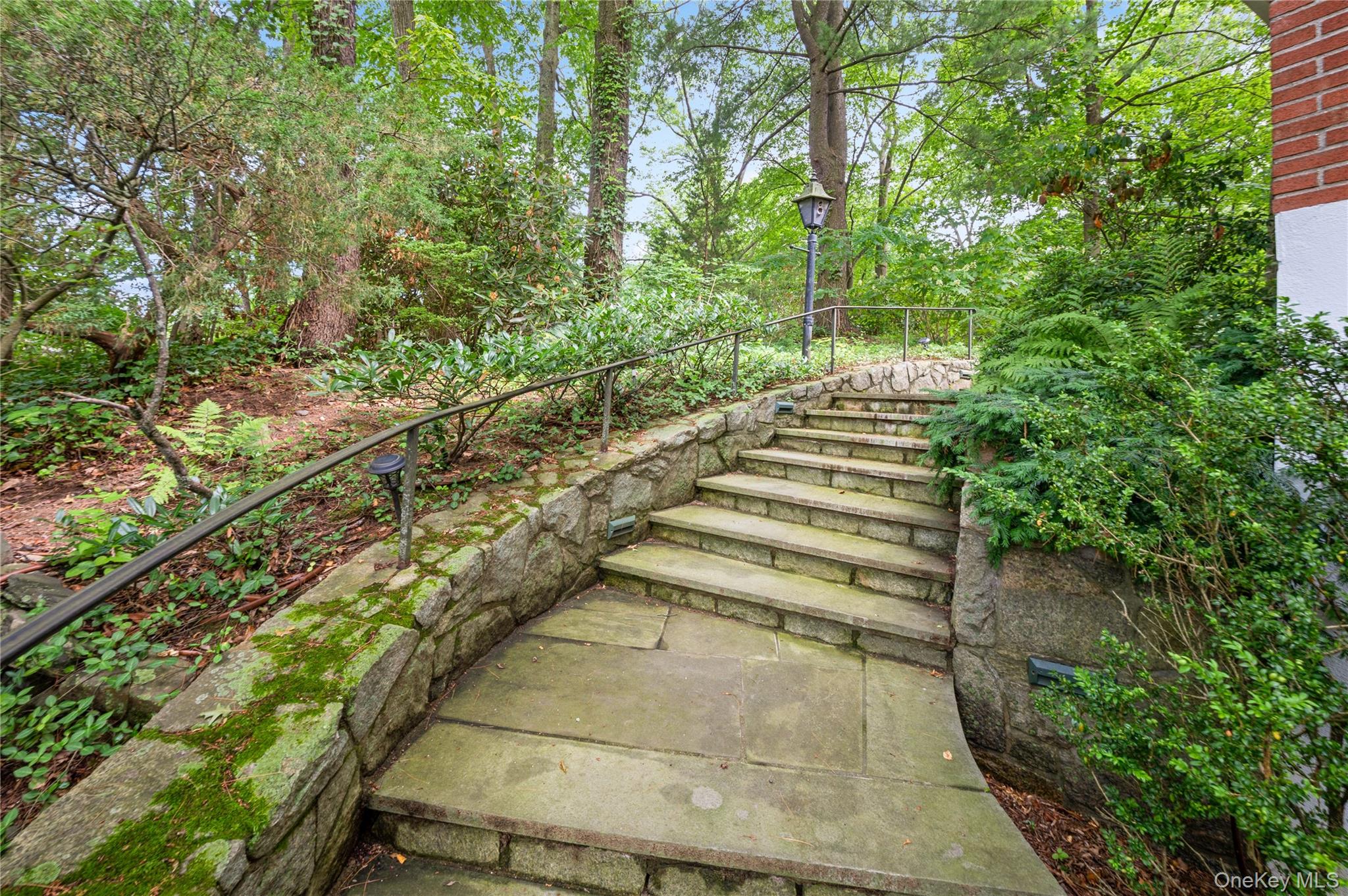 160 Hampshire Road Bronxville, NY 10708 - Photo 32 of 36 a view of a yard with plants and large trees