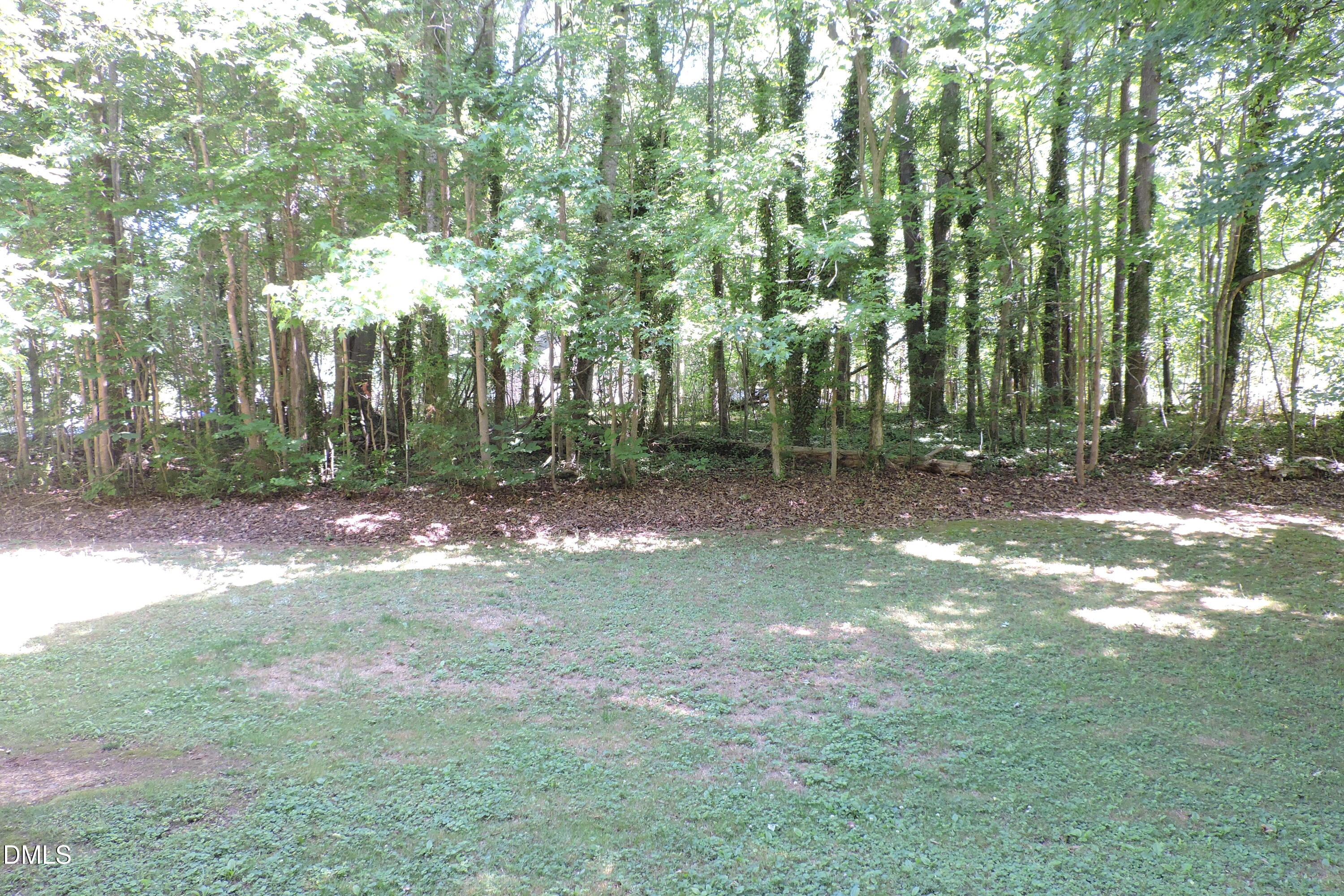 401 Cleveland Street Mebane, NC 27302 - Photo 14 of 15 DSCN9394