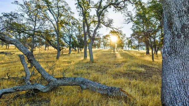 $4,390,000 | 15250 Lanford Pacheco Road, Valley Springs, CA 95252
