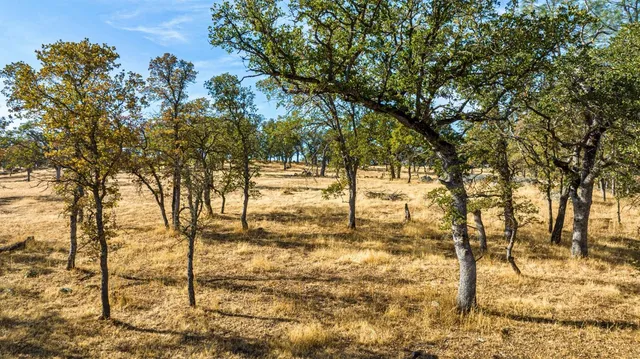 $4,390,000 | 15250 Lanford Pacheco Road, Valley Springs, CA 95252