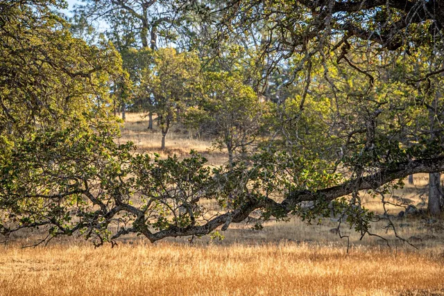 $4,390,000 | 15250 Lanford Pacheco Road, Valley Springs, CA 95252